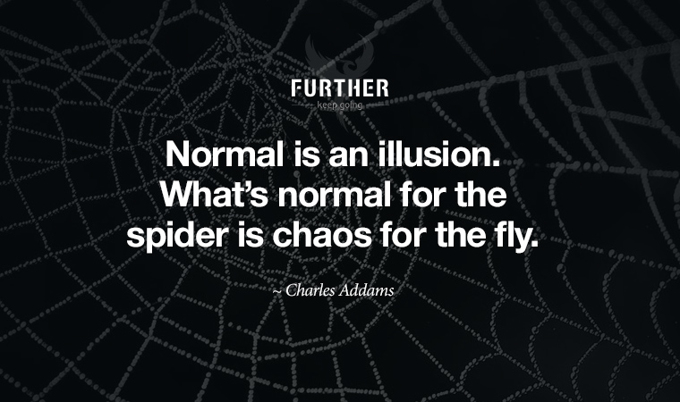 Normal is an illusion. What’s normal for the spider is chaos for the fly. ~ Charles Addams