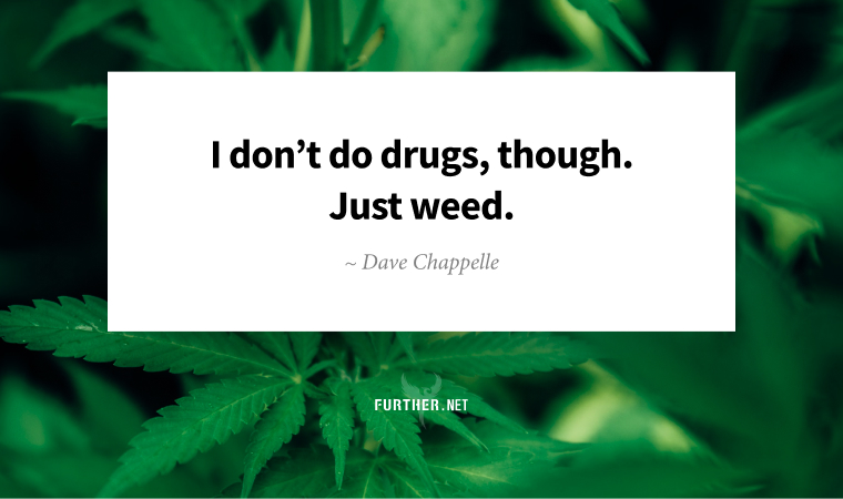 I don’t do drugs, though. Just weed. ~ Dave Chappelle