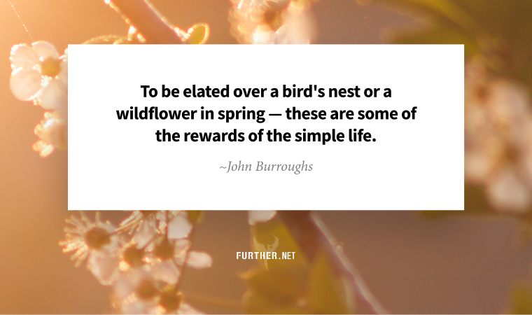 To be elated over a bird's nest or a wildflower in spring — these are some of the rewards of the simple life. ~ John Burroughs