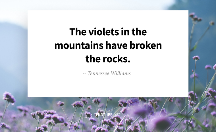 The violets in the mountains have broken the rocks. ~ Tennessee Williams