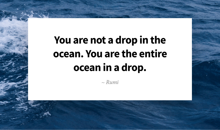 You are not a drop in the ocean. You are the entire ocean in a drop. ~ Rumi