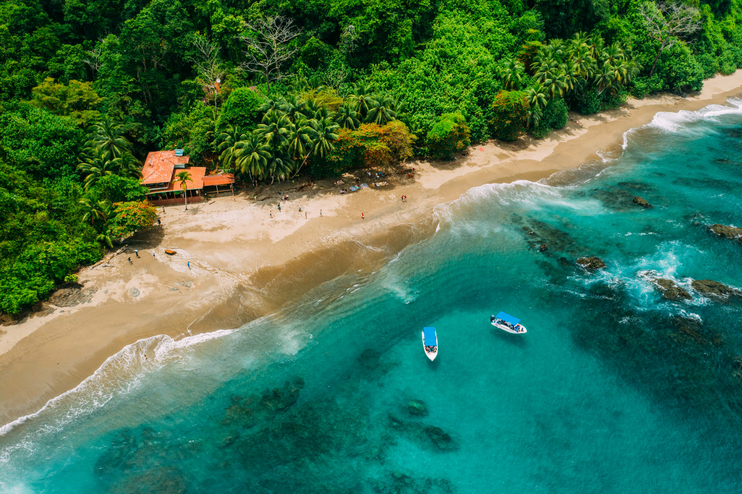 View of a tropical island with lush jungle in Costa Rica, Isla del Caño